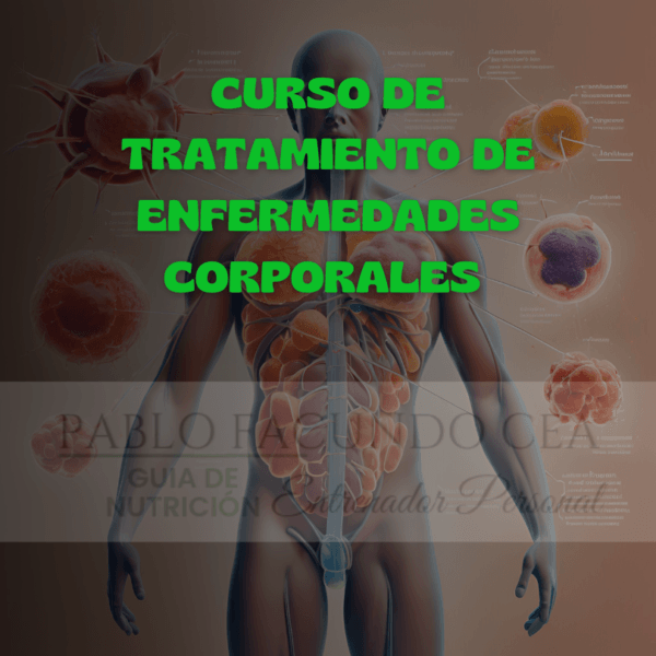Curso de tratamiento de enfermedades corporales