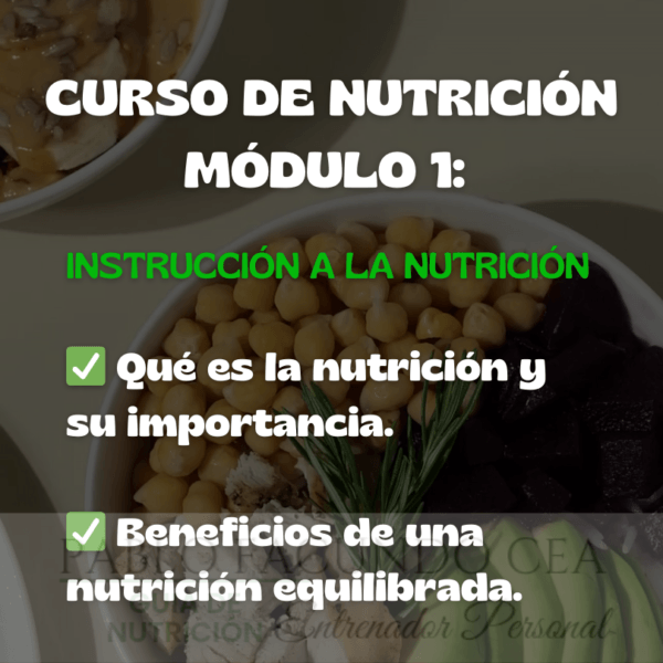 Curso de Nutrición