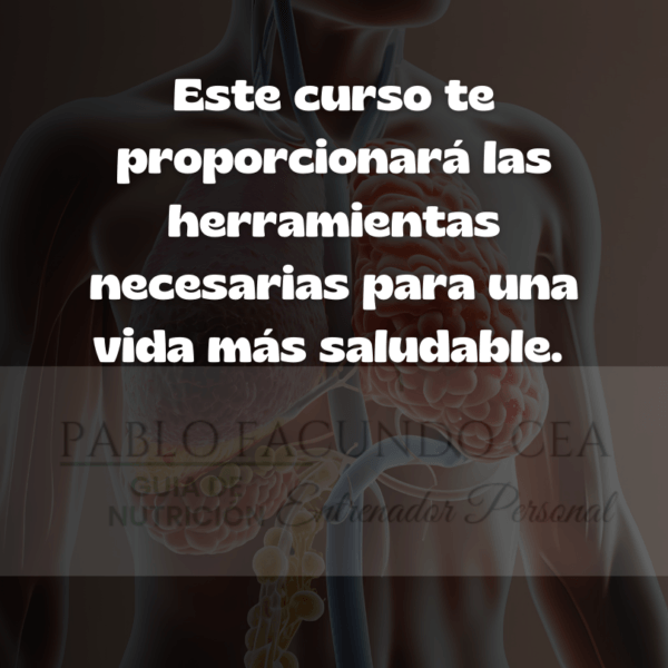 Curso de tratamiento de enfermedades corporales
