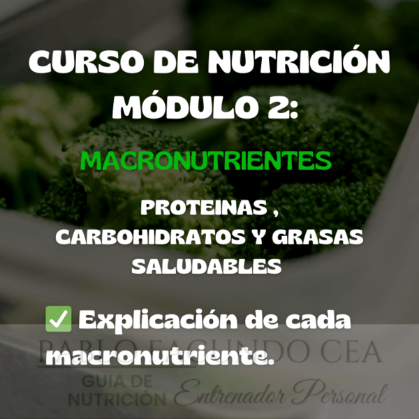 Curso de Nutrición