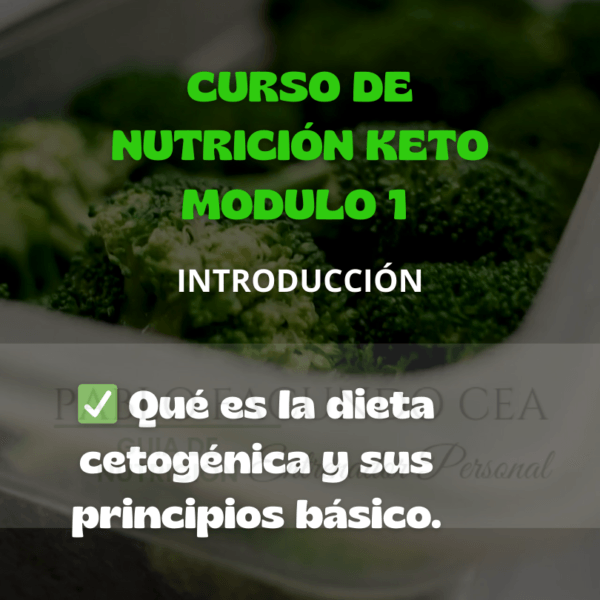 Curso de nutrición keto