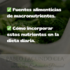 Curso de Nutrición