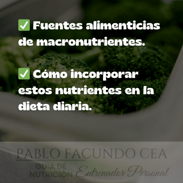 Curso de Nutrición