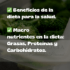 Curso de nutrición keto