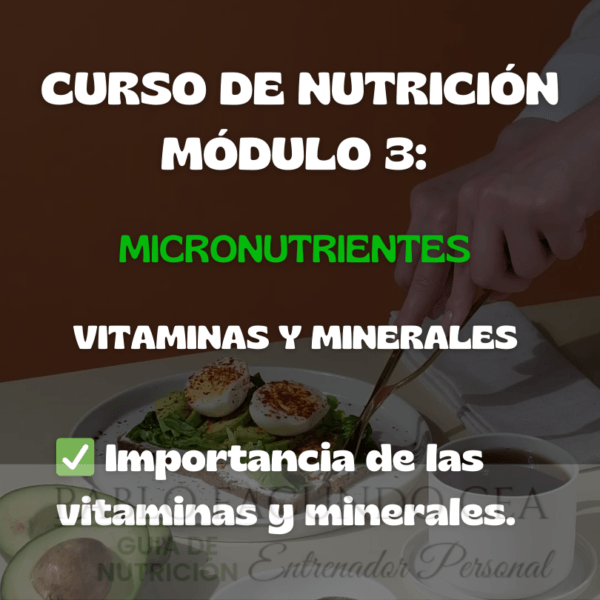 Curso de Nutrición