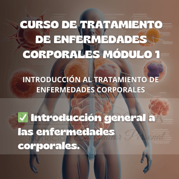 Curso de tratamiento de enfermedades corporales