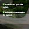Curso de ayuno