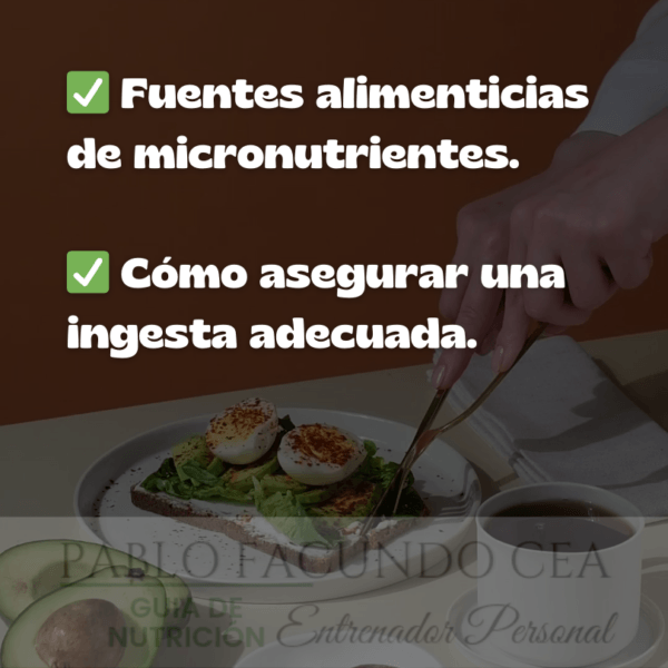 Curso de Nutrición