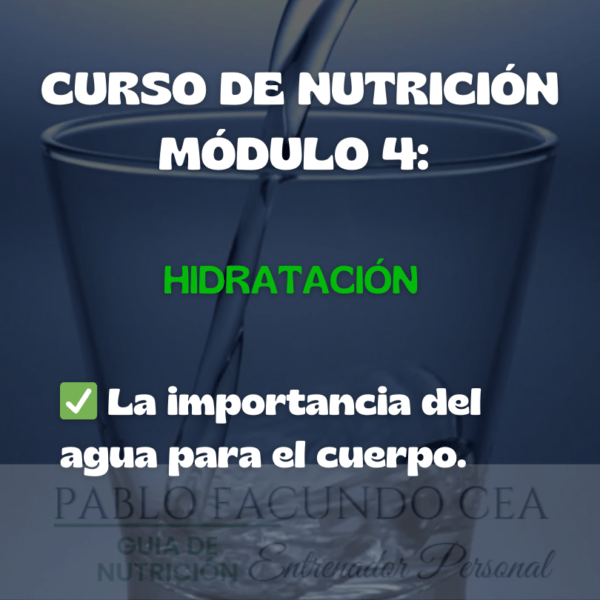 Curso de Nutrición