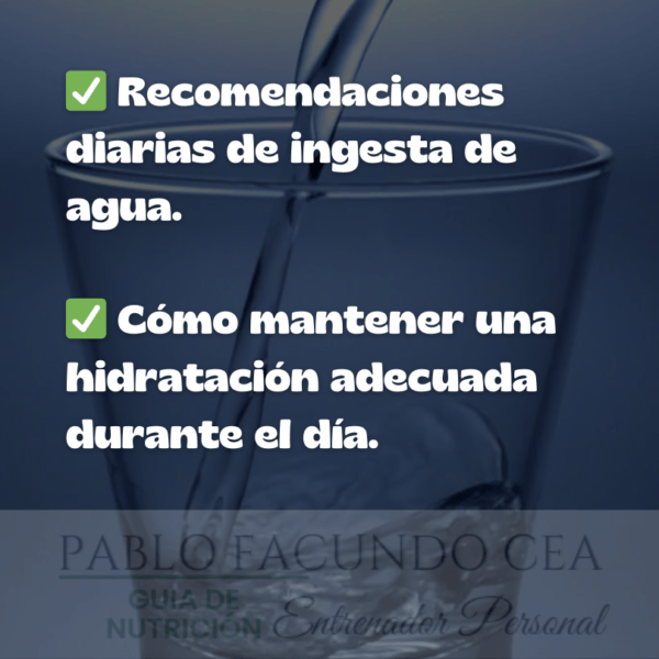 Curso de Nutrición