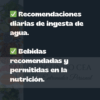 Curso de nutrición keto