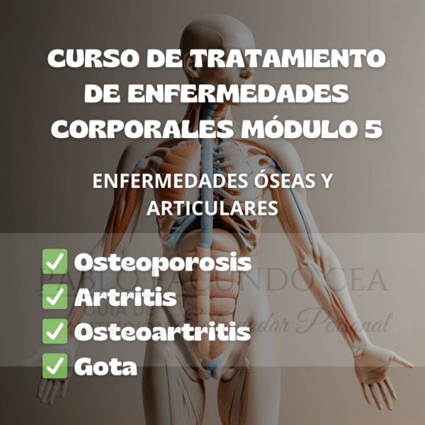 Curso de tratamiento de enfermedades corporales