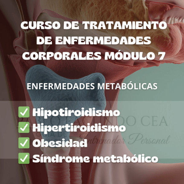 Curso de tratamiento de enfermedades corporales