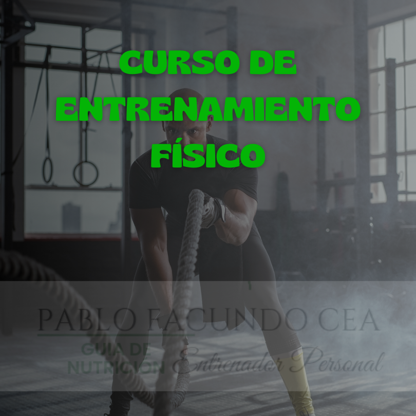 El curso de Entrenamiento Físico está diseñado para personas de todas las edades que buscan mejorar su condición física, ya sea para un estilo de vida saludable o para mejorar su rendimiento deportivo.  Aprenderás técnicas de entrenamiento funcional, cómo estructurar rutinas efectivas y cómo evitar lesiones, todo adaptado a tu nivel de habilidad. El curso incluye ejercicios prácticos y planes de entrenamiento personalizados, garantizando resultados a largo plazo.