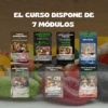 Curso de Nutrición