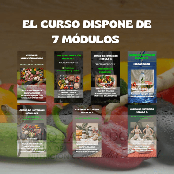 Curso de Nutrición