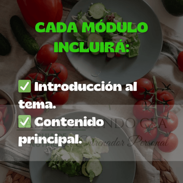 Curso de nutrición keto