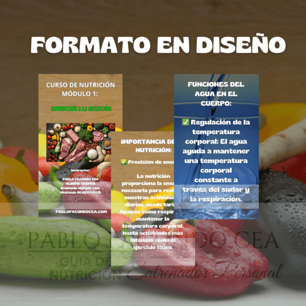 Curso de Nutrición
