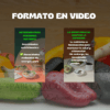 Curso de Nutrición