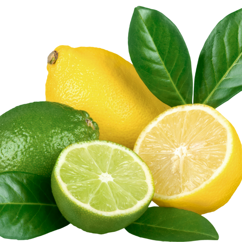 Limón beneficios, conocido científicamente como Citrus limón, es uno de los cítricos más destacados a nivel global. Su origen se remonta a la región del sureste asiático, donde se cultivaba desde la antigüedad. A lo largo de los siglos, se ha dispersado y adaptado a diversas climatologías, siendo ahora una fruta común en múltiples continentes. Entre las variedades más populares se encuentran Eureka, el Lisbon y el Meyer, cada uno con características únicas que lo hacen especial.