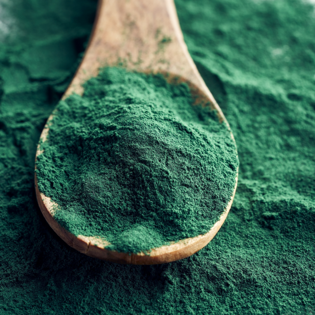 La espirulina es un tipo de alga azul-verde que pertenece al grupo de las cianobacterias. Este organismo acuático crece en aguas dulces y alcalinas, siendo capaz de prosperar en climas cálidos, lo que le permite desarrollarse en diversas partes del mundo, incluyendo regiones de América, Asia y África. Su aspecto es filamentoso, lo cual resulta en una forma que recuerda a un espiral, de ahí su nombre. Conocida desde hace siglos, la espirulina ha sido utilizada como fuente de alimento en varias culturas, particularmente entre civilizaciones como los aztecas y los africanos, quienes la recolectaban de lagos y ríos debido a su alto valor nutricional.

Desde el punto de vista botánico, la espirulina es rica en proteínas, aportando más del 60% de su peso en forma de aminoácidos esenciales, lo que la convierte en una opción especial para quienes buscan aumentar su ingesta proteica sin recurrir a productos de origen animal. Además de ser una fuente significativa de proteínas, esta alga también es rica en vitaminas y minerales. Destaca su contenido en vitamina B12, hierro y antioxidantes, lo que la hace especialmente atractiva como suplemento alimenticio. También contiene ácidos grasos esenciales y otros fitonutrientes que contribuyen a su perfil nutricional completo.